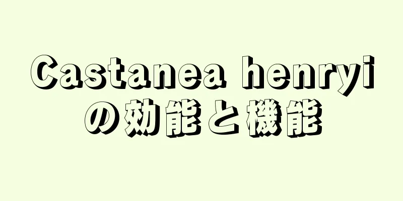 Castanea henryiの効能と機能