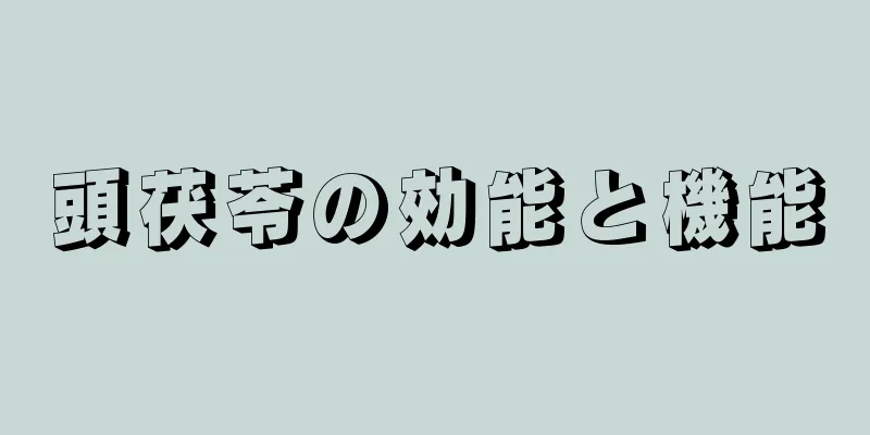 頭茯苓の効能と機能
