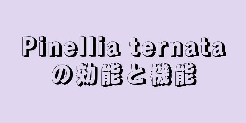 Pinellia ternataの効能と機能