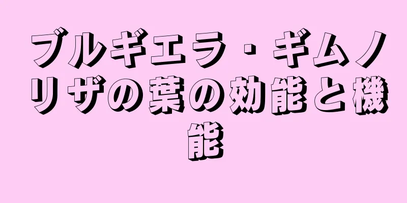 ブルギエラ・ギムノリザの葉の効能と機能