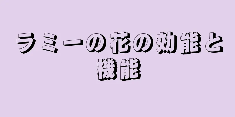 ラミーの花の効能と機能