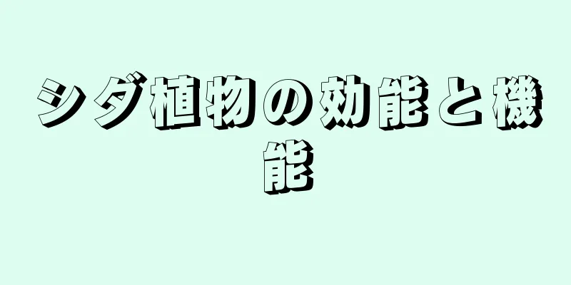 シダ植物の効能と機能