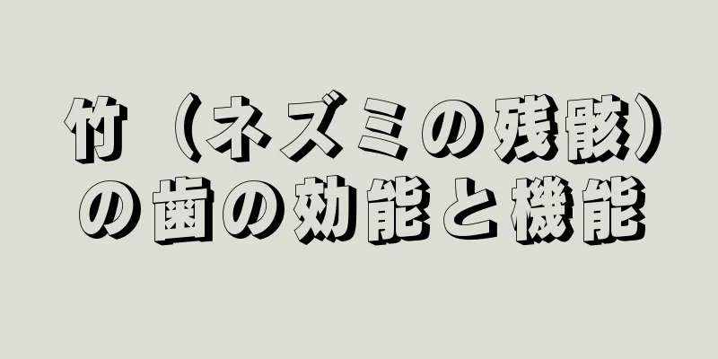 竹（ネズミの残骸）の歯の効能と機能