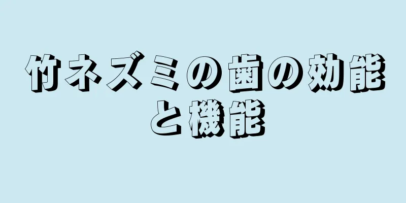 竹ネズミの歯の効能と機能