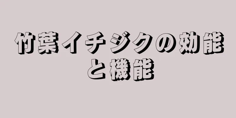 竹葉イチジクの効能と機能