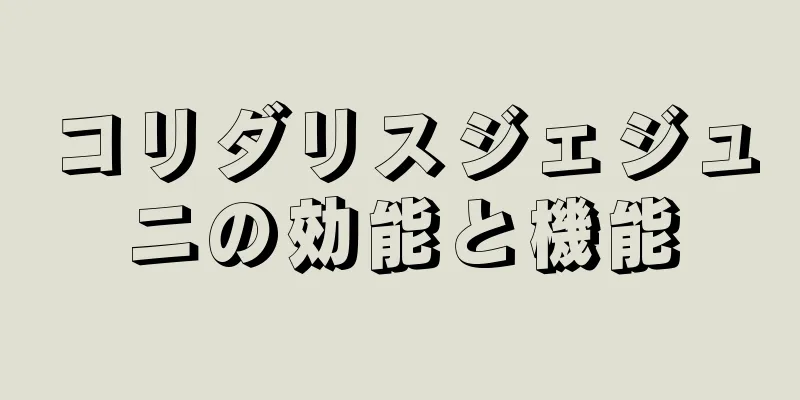 コリダリスジェジュニの効能と機能