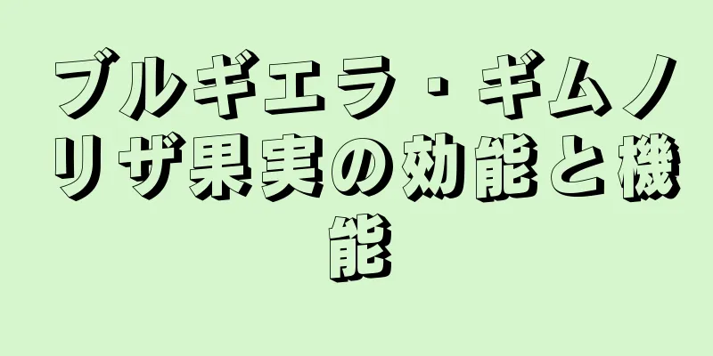 ブルギエラ・ギムノリザ果実の効能と機能