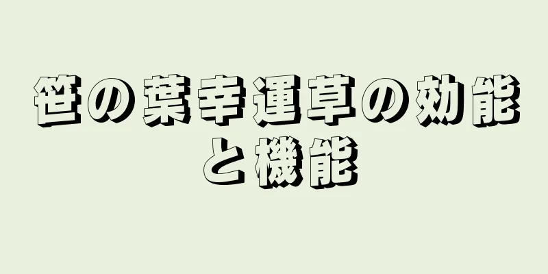 笹の葉幸運草の効能と機能