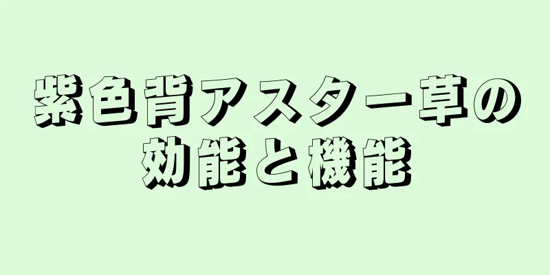 紫色背アスター草の効能と機能