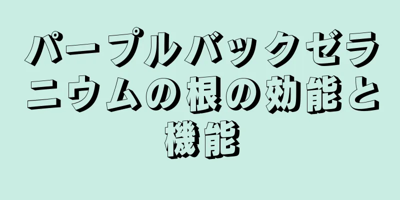 パープルバックゼラニウムの根の効能と機能
