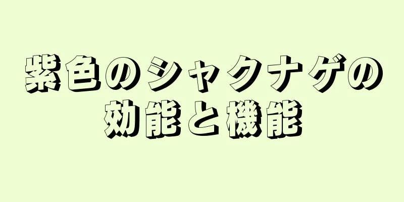 紫色のシャクナゲの効能と機能