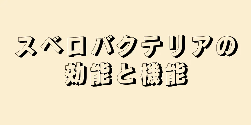 スベロバクテリアの効能と機能