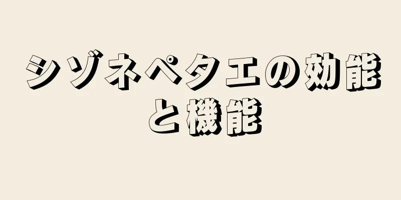 シゾネペタエの効能と機能