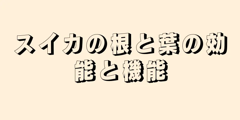 スイカの根と葉の効能と機能