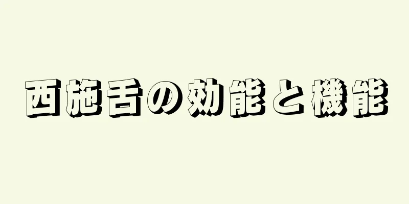 西施舌の効能と機能
