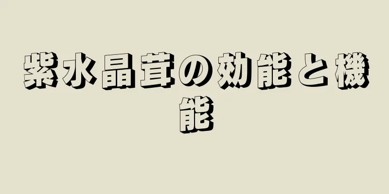 紫水晶茸の効能と機能