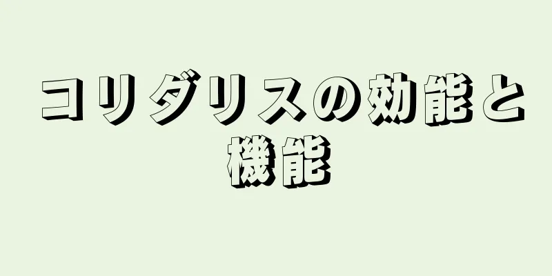 コリダリスの効能と機能