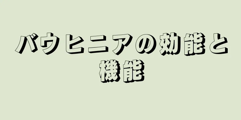 バウヒニアの効能と機能