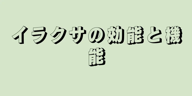 イラクサの効能と機能