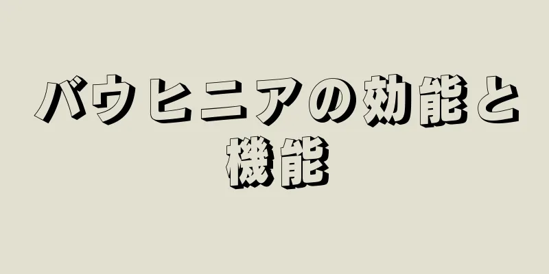 バウヒニアの効能と機能