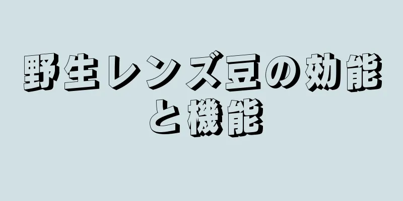 野生レンズ豆の効能と機能