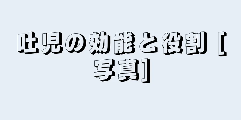 吐児の効能と役割 [写真]