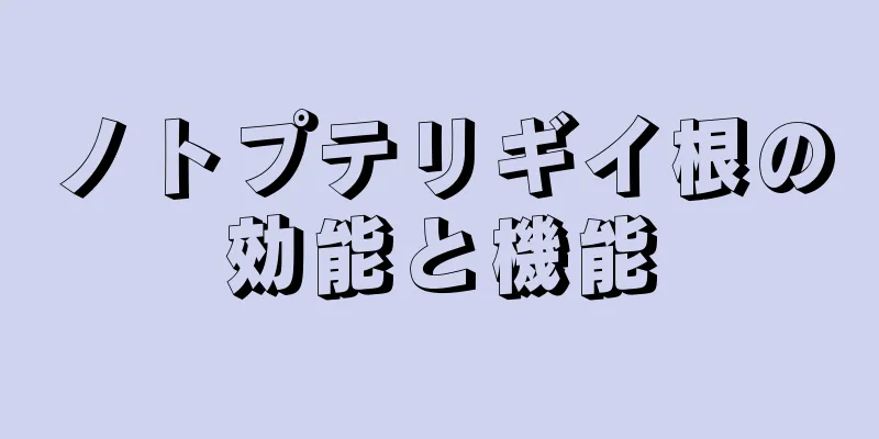 ノトプテリギイ根の効能と機能