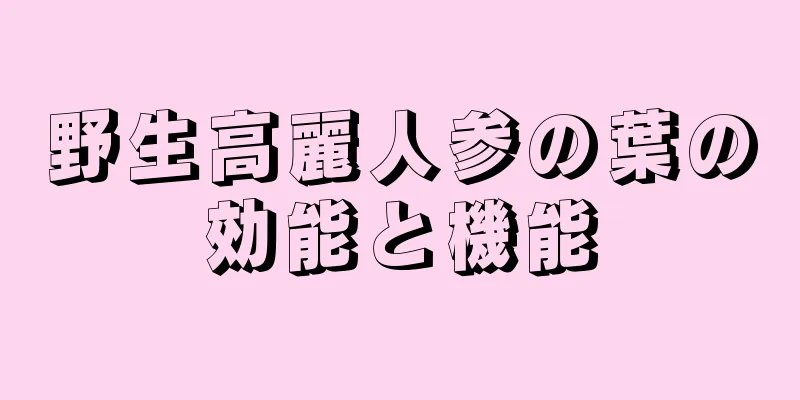 野生高麗人参の葉の効能と機能