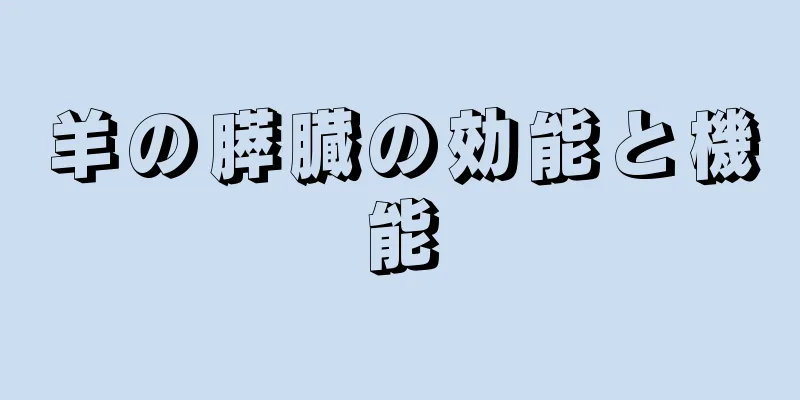 羊の膵臓の効能と機能