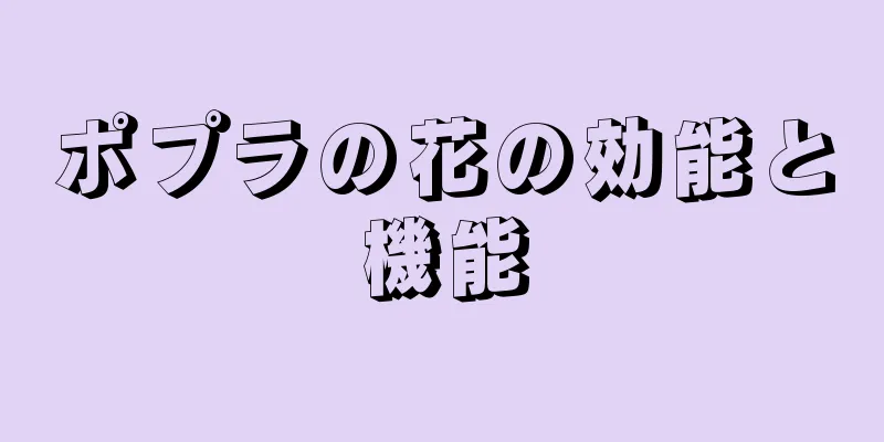 ポプラの花の効能と機能