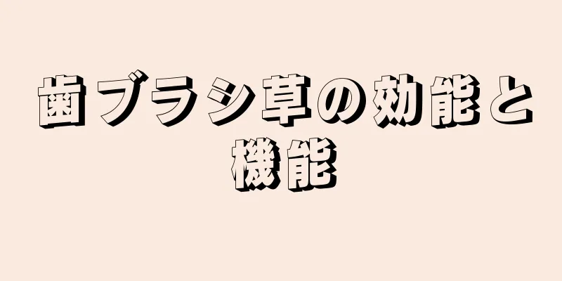 歯ブラシ草の効能と機能