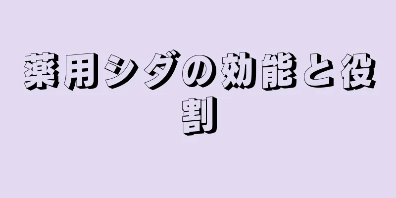 薬用シダの効能と役割