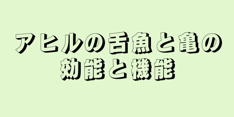 アヒルの舌魚と亀の効能と機能