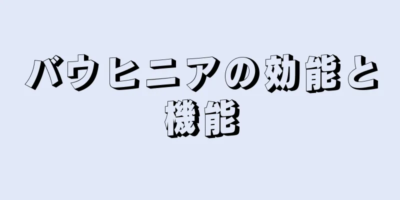 バウヒニアの効能と機能