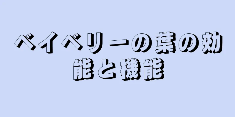 ベイベリーの葉の効能と機能