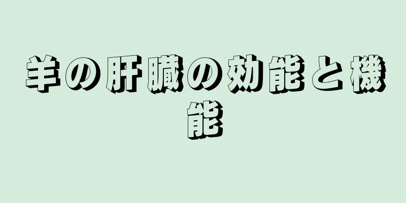 羊の肝臓の効能と機能