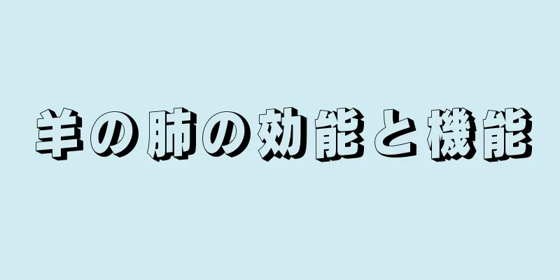 羊の肺の効能と機能