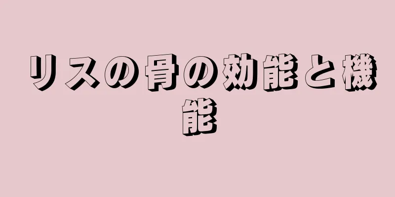 リスの骨の効能と機能