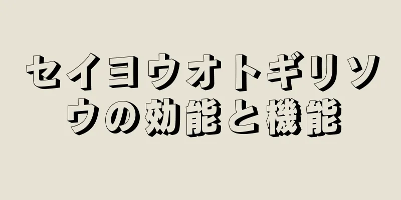 セイヨウオトギリソウの効能と機能