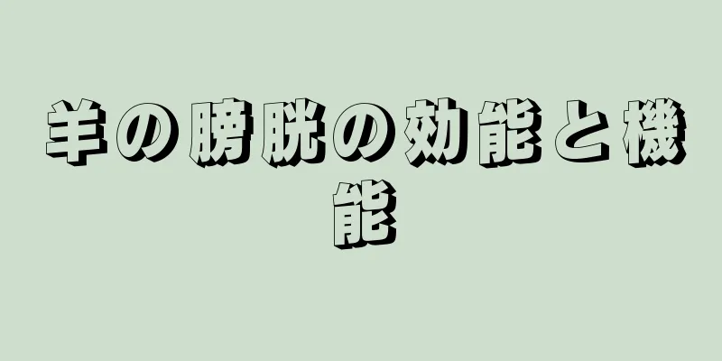 羊の膀胱の効能と機能