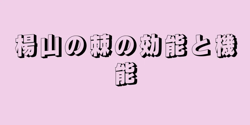 楊山の棘の効能と機能
