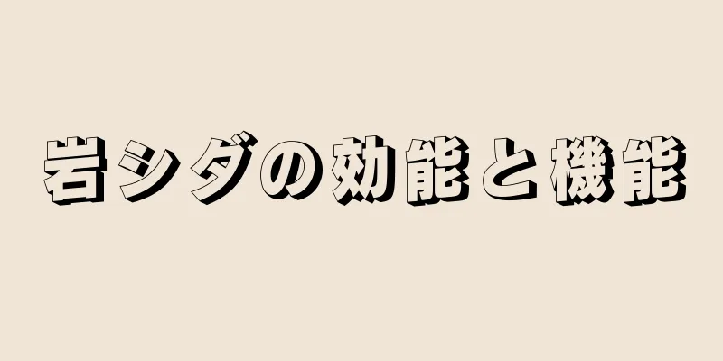 岩シダの効能と機能