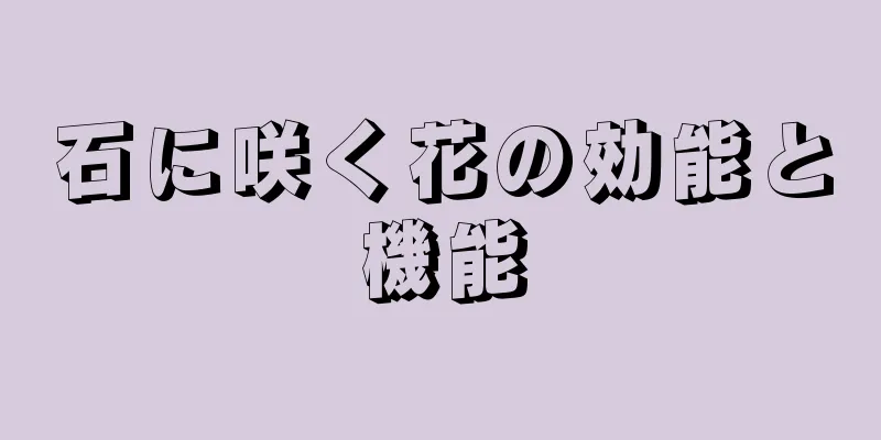 石に咲く花の効能と機能