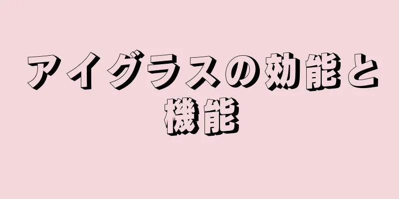 アイグラスの効能と機能