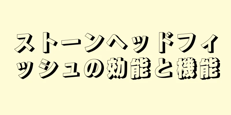 ストーンヘッドフィッシュの効能と機能