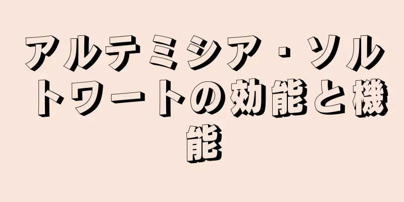 アルテミシア・ソルトワートの効能と機能
