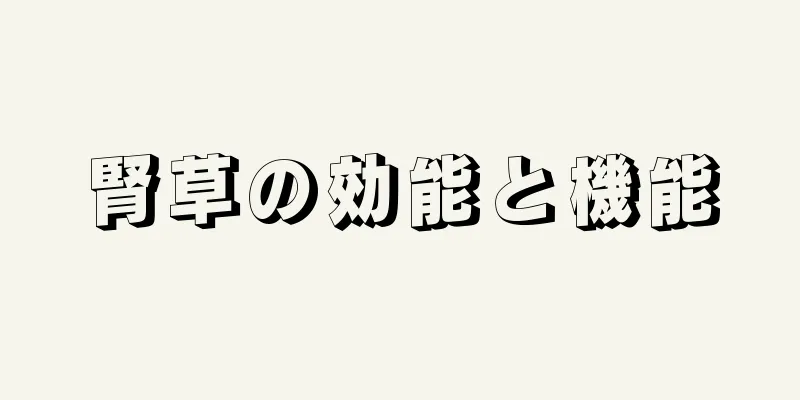 腎草の効能と機能