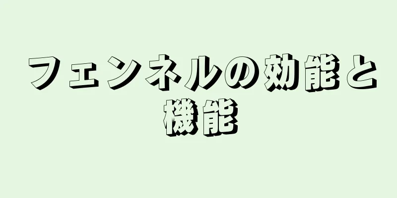 フェンネルの効能と機能