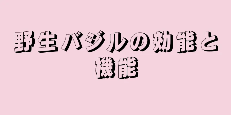 野生バジルの効能と機能