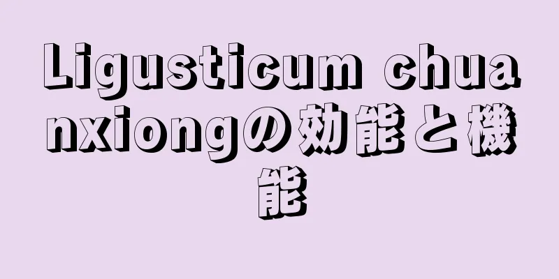 Ligusticum chuanxiongの効能と機能